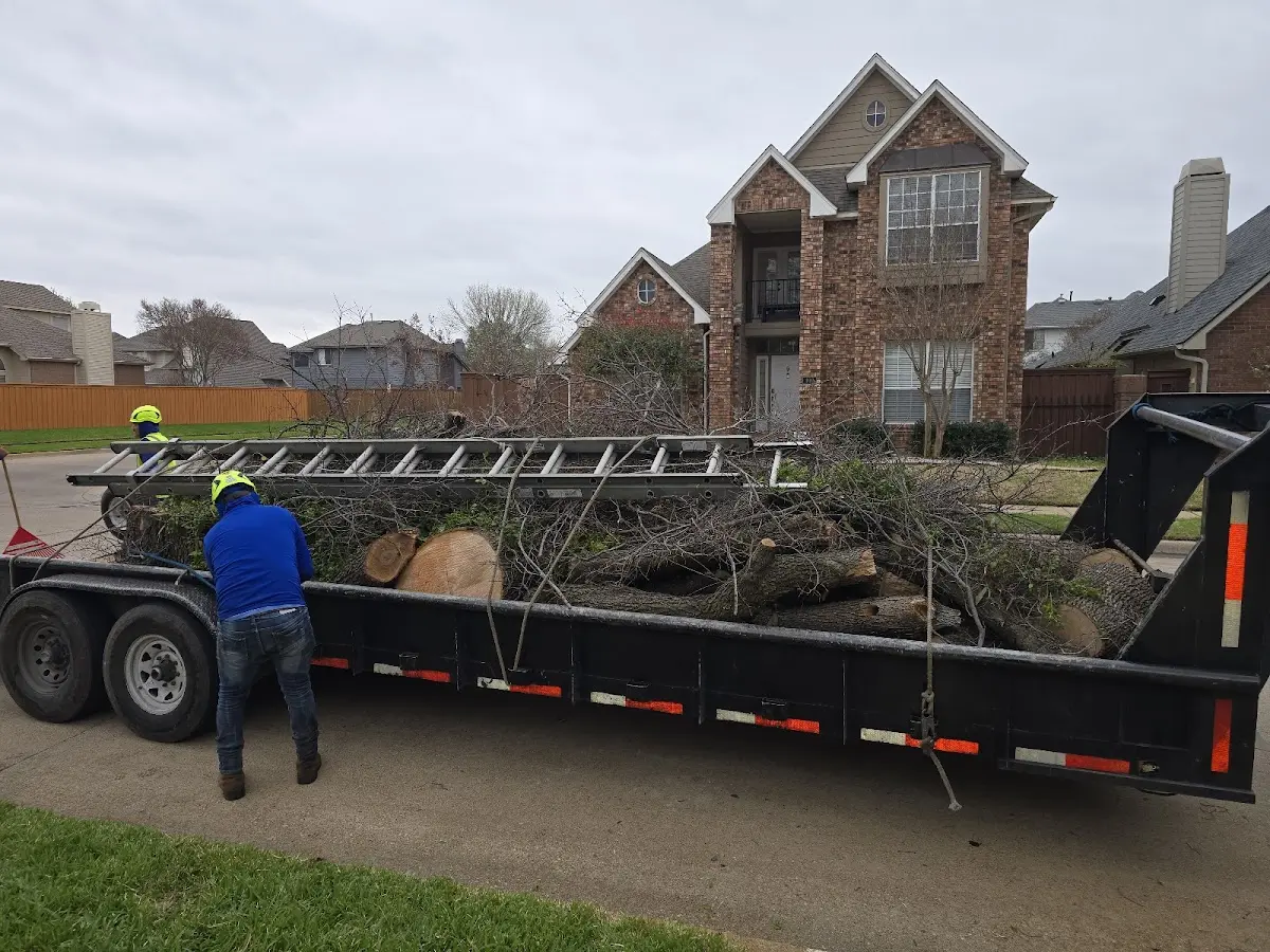 Expert Crown Reduction with proper safety equipment in Denton